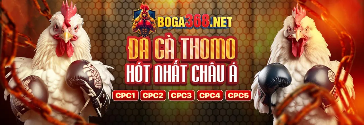 Đá gà trực tuyến kịch tính tại galaxy6623 win