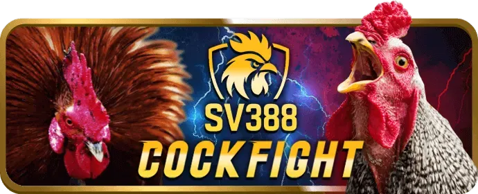 Truy cập trang chủ galaxy6623 win